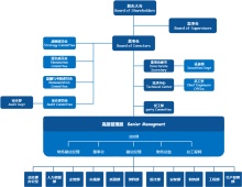 公司架构组织结构图