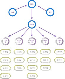 公司职能分布图