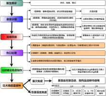 狂犬病预防处理流程图